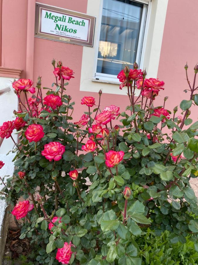 Megali Nikos Apartament Sidárion